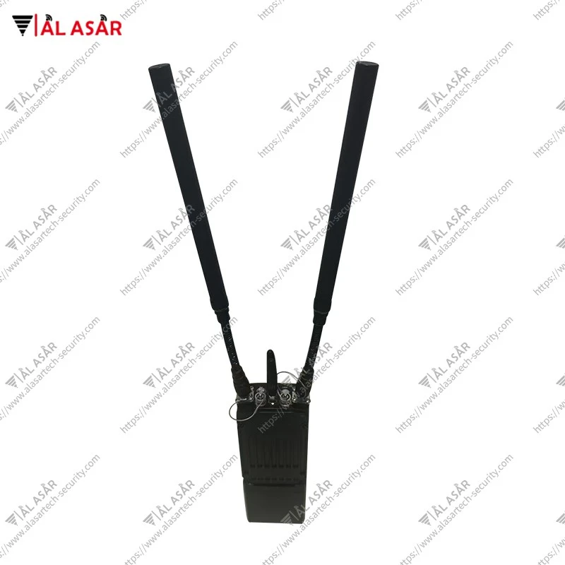 Portable Mesh Network